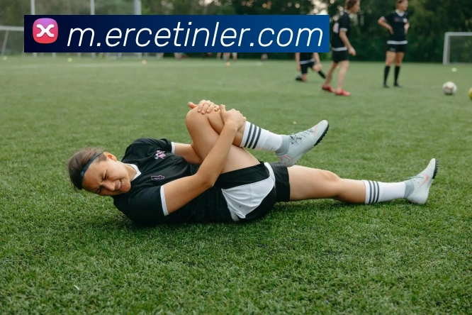 企业概况